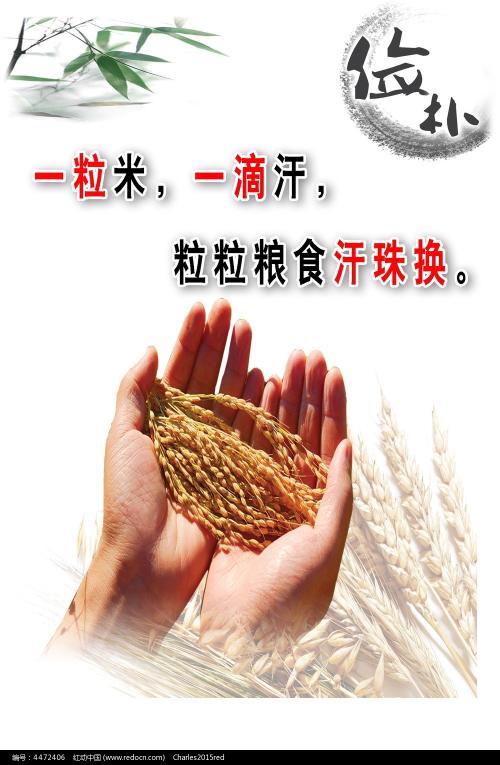 没有学历认证报告怎么弄